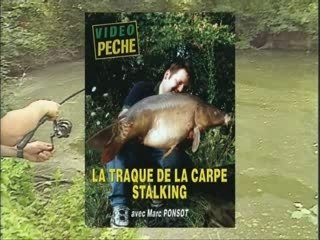 La traque de la carpe stalking
