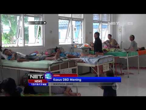 Kasus DBD Meningkat di Asahan, 10 Orang Meninggal - NET12