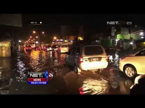 Solusi Atasi Rob, Pemprov Jateng Menilai Penambahan Hutan Mangrove - NET24