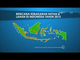 Bencana Kebakaran Hutan dan Lahan di Indonesia Tahun 2015 - NET16