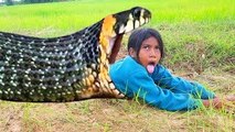 Terrifying!! Brave Sisters Fearlessly Catch Two Big Snakes From Hole (Part 2)