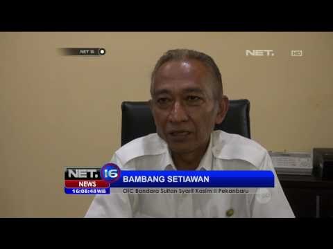 Kabut Asap Riau Ganggu Jarak Pandang Penerbangan - NET16