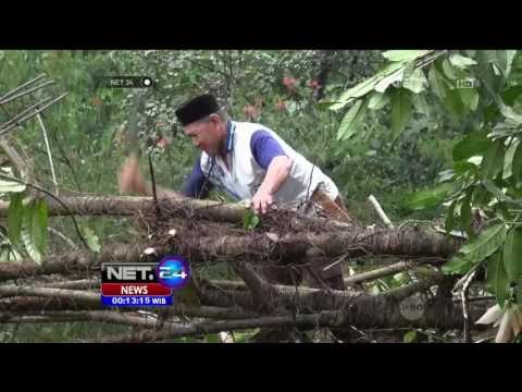 Hujan Deras Sebabkan Tebing di Cianjur Longsor - NET24