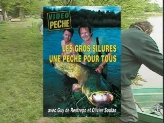 Les gros silures, une pêche pour tous