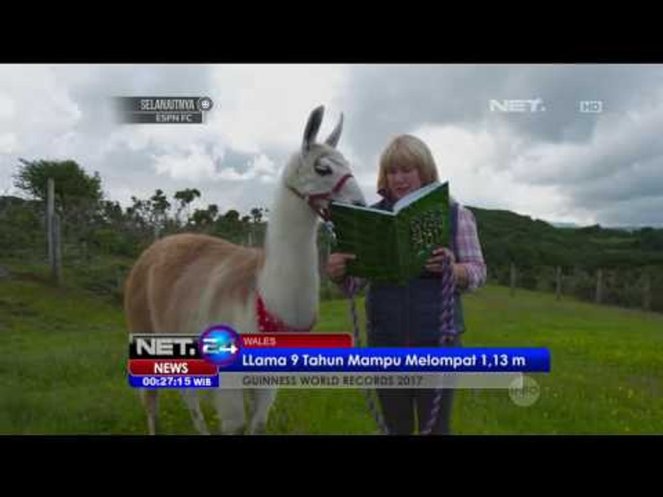 Guinness World Record 2017 - NET24