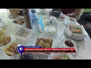 Sejuknya Hamparan Kebun Teh - NET 10