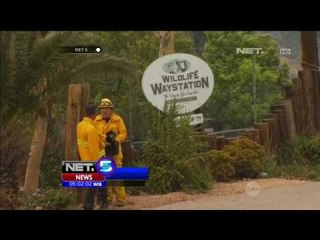 Upaya Jinakan Api di Lahan Barat Laut Los Angeles, AS - NET5