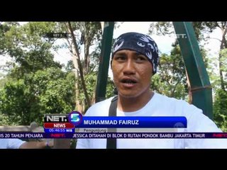 Wisata Hujan Tropis, Berjalan Diantara Pohon Raksasa - NET 5