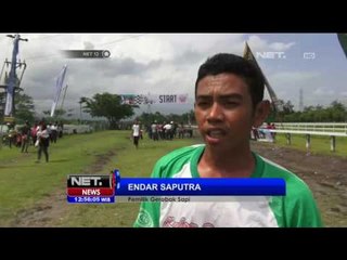 Balapan Gerobak Sapi Sepanjang 400 Meter - NET 12