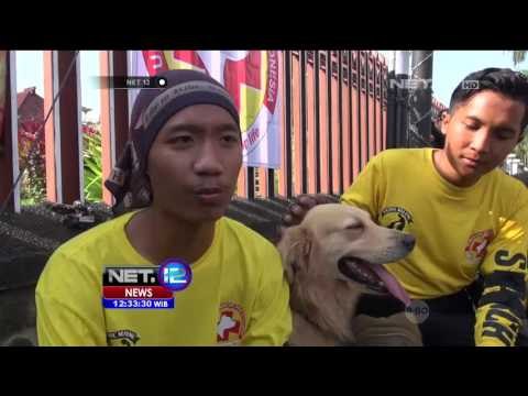 Simulasi Penyelamatan Korban Bencana di Malang - NET12