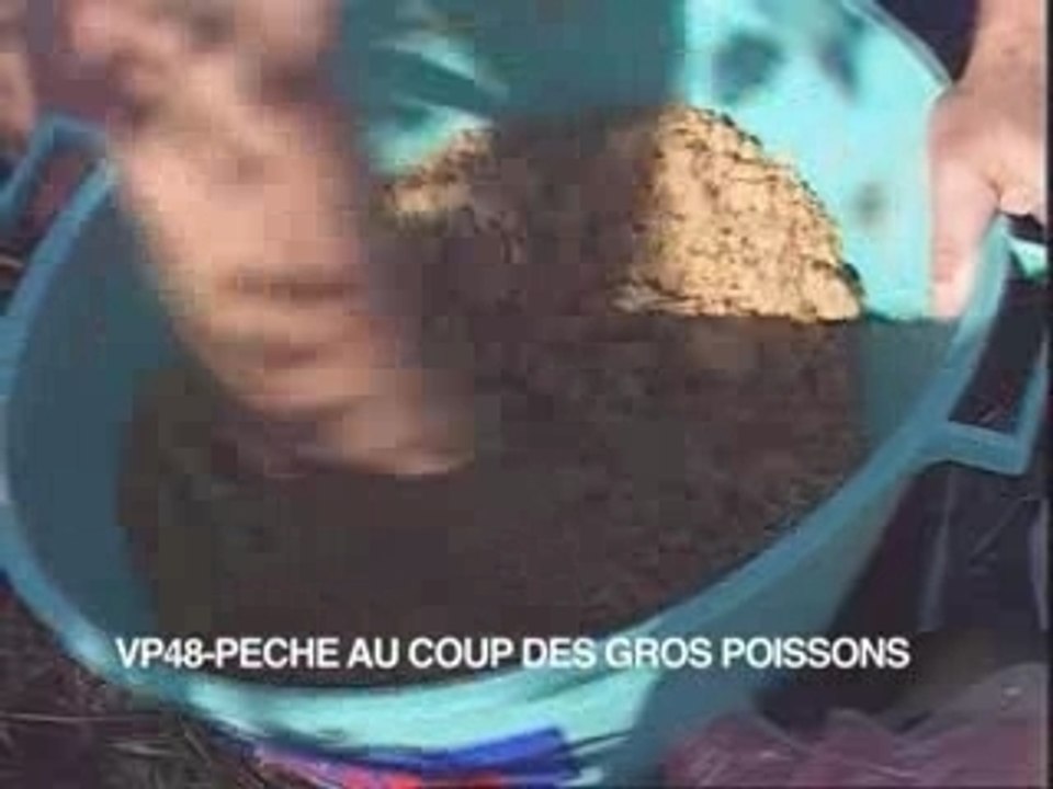Pêche au coup des gros poissons