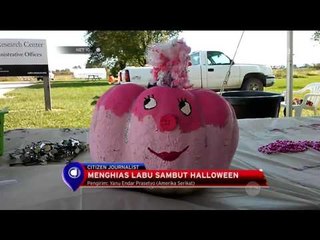 Menghias Labu Sambut Halloween - NET 10