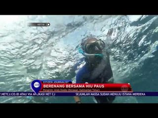 Pesona Laut Taliyasan  - NET 10