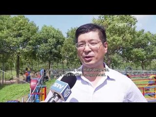 Keseruan Lomba Balap Babi di Shanghai Cina - NET12