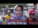 Komunitas Pecinta Reptil Pangandaran - NET 10