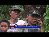 Pohon Tumbang, Satu Orang Tewas & Tiga Luka Tertimpa Pohon - NET 10