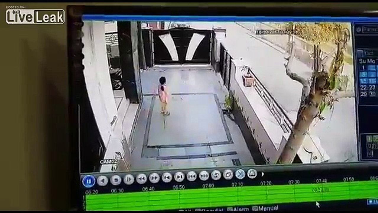 Gate crashed down on a girl while she was climbing it