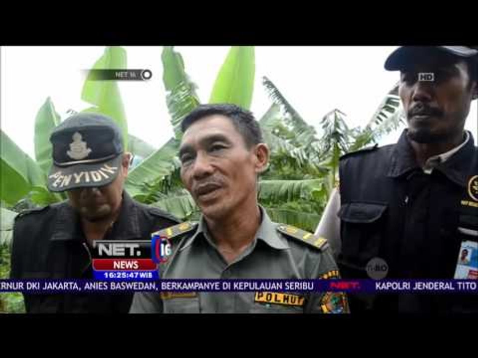 Petugas Karantina Pelabuhan Bakauheni Gagalkan Penyelundupan 416 Ekor Burung - NET16