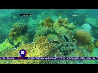 Berwisata Hemat ke Kepulauan Seribu - NET 10