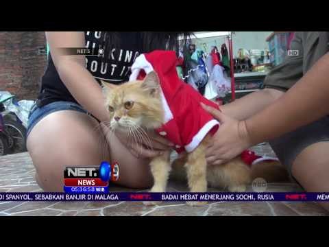 Busana Sehari-Hari Hingga Kostum Karakter untuk Kucing - NET5