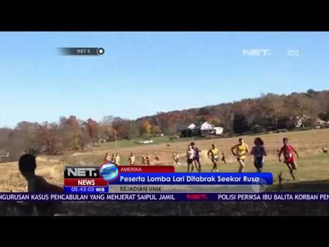 Peserta Lomba Lari Ditabrak Seekor Rusa - NET 5