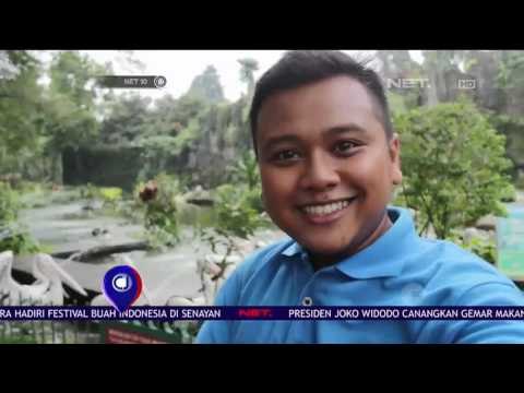 Mengenal Ragam Satwa di Kebun Binatang Ragunan - NET 10
