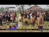 Presiden Joko Widodo Melakukan Panen Raya Padi di Boyolali, Jawa Tengah - NET 16