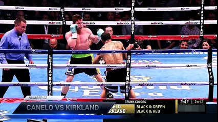 Top 25 Best Canelo Alvarez Punches HD