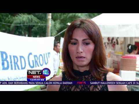 Lucunya Hewan-hewan ini Beraksi dalam Perayaan Hallowen - NET12