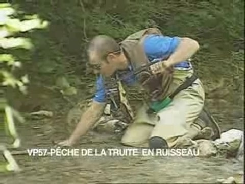 Techniques de pêche de la truite en ruisseau