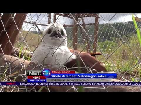 Mengelilingi Sabana Konservasi Satwa di Tapanuli Selatan Sumatera Utara - NET 24