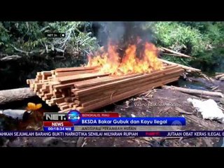 Puluhan Kayu dan Gubuk Perambah Hutan Dimusnahkan, Pelakunya Melarikan Diri - NET24