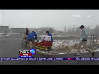 Sensasi Membeli Pizza Diantar Langsung Rusa Layaknya Santa Claus - NET24