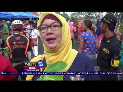 Risma Bagikan Ribuan Bibit Cabai Gratis Kepada Warga - NET5