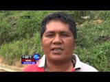 Bukit Sigandi Dibakar, Diduga Untuk Membuka Lahan - NET24