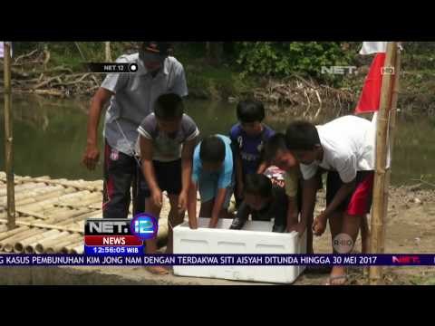 Anak-Anak di Bantul Lepas Liarkan Belut ke Sungai Guna Perbaiki Ekosistem - NET12