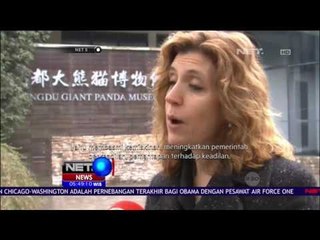 Dua Ekor Panda Dipilih jadi Duta UNDP - NET 5