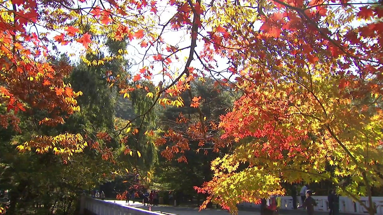 주말 맞아 화창한 가을 날씨...등산객 북적 / YTN