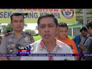 Sopir Bus Angkut Satwa Endemik Indonesia - NET5