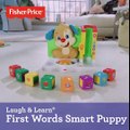 Fisher-Price Laugh & Learn First Words Smart Puppy Blocks