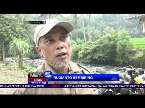 Warga di Deli Serdang Serahkan Trenggiling ke Petugas - NET5