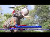 Gajah gajah Ramaikan Tahun Baru Thailand NET24