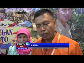 Ubi Raksasa Meriahkan Gelar Pangan Nusantara 2015 di Padang - NET12