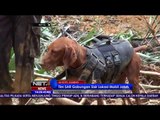 Petugas Turunkan Anjing Pelacak Guna Temukan Korban Pasca Banjir dan Longsor Sumbar - NET16