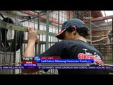 Surili Hasil Sitaan Warga di Rehabilitasi - NET24