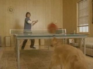 Pingpong