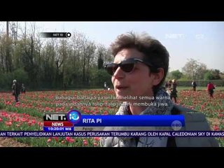 Menikmati Keindahan Tulip yang Tumbuh Segar di Italia - NET10