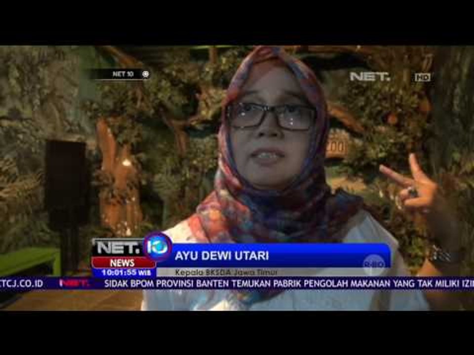 BKSDA Minta Penutupan Foto Bersama Satwa - NET10
