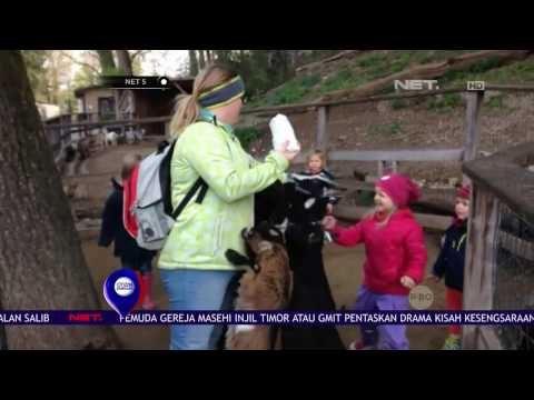 Kebun Binatang Salzburg Austria yang Berisi Hewan-Hewan Seluruh Dunia - NET5