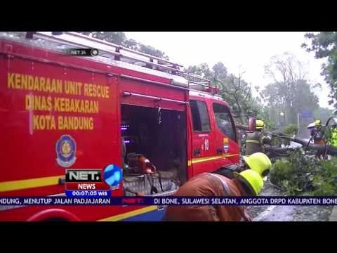 Angin Besar, Pohon Setinggi 15 Meter Tumbang di Jalan Kota Bandung - NET24